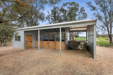 House For Sale - VIC - Bridgewater - 3516 - Country Lifestyle Living on 10 Acres in Bridgewater  (Image 2)