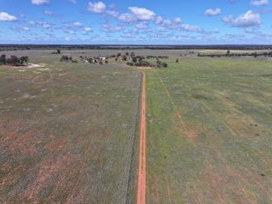 Cropping For Sale - NSW - West Wyalong - 2671 - Affordable Mixed Farm Close To West Wyalong  (Image 2)