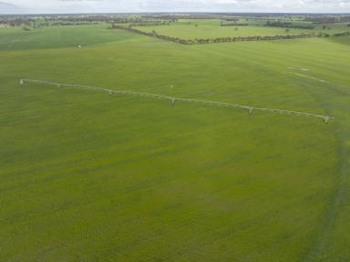 Mixed Farming For Sale - SA - Bordertown - 5268 - GREAT BALANCE OF COUNTRY, WATER LICENCES & INFRASTRUCTURE IN A CONVENIENT LOCATION  (Image 2)