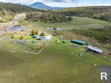 House For Sale - TAS - Osmaston - 7303 - Country Retreat with Plenty of Space!  (Image 2)