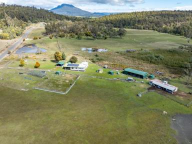 House For Sale - TAS - Osmaston - 7303 - Country Retreat with Plenty of Space!  (Image 2)