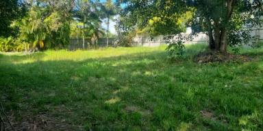 Residential Block For Sale - QLD - Macleay Island - 4184 - Mostly cleared block, easy stroll to the water  (Image 2)