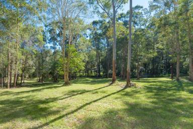 Other (Residential) For Sale - QLD - Tinbeerwah - 4563 - Rare Tinbeerwah Lifestyle Acreage - Noosa at Your Doorstep  (Image 2)