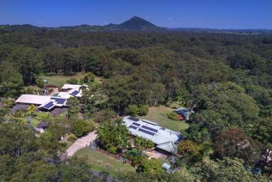 House For Sale - QLD - Tinbeerwah - 4563 - Rare Tinbeerwah Lifestyle Acreage - Noosa at Your Doorstep  (Image 2)