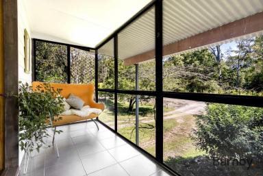 House For Sale - QLD - Eudlo - 4554 - CHARMING HINTERLAND LIFESTYLE  (Image 2)