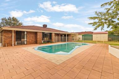 House For Sale - WA - Willetton - 6155 - Family-Sized Living with Space & Comfort  (Image 2)