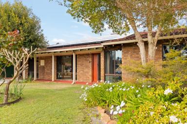 House For Sale - WA - Willetton - 6155 - Family-Sized Living with Space & Comfort  (Image 2)