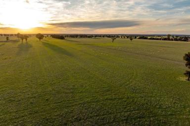 Mixed Farming Auction - NSW - Galore - 2652 - Excellent mixed farming with adjoining farm available  (Image 2)