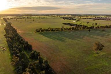 Mixed Farming Auction - NSW - Galore - 2652 - Excellent mixed farming with adjoining farm available  (Image 2)