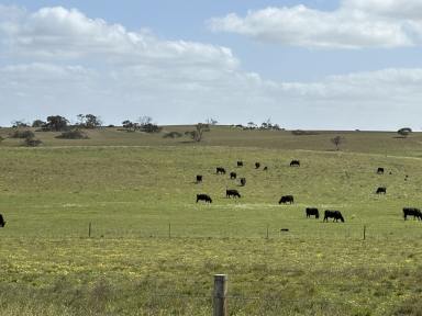 Other (Rural) For Sale - SA - Parrakie - 5301 - Mallee Grazing Opportunity  (Image 2)