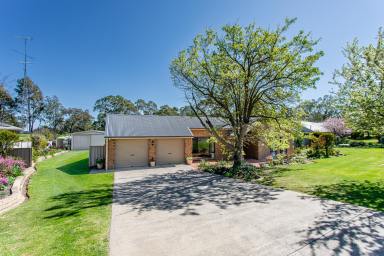 House For Sale - SA - Naracoorte - 5271 - Spacious Family Oasis with Breathtaking Rural Outlook  (Image 2)