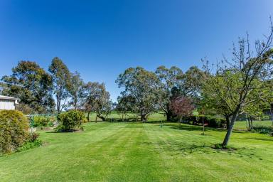 House For Sale - SA - Naracoorte - 5271 - Spacious Family Oasis with Breathtaking Rural Outlook  (Image 2)