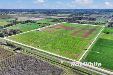 Cropping For Sale - VIC - Kyabram - 3620 - 61 Acres with Excellent Shedding & Irrigation - Kyabram District  (Image 2)