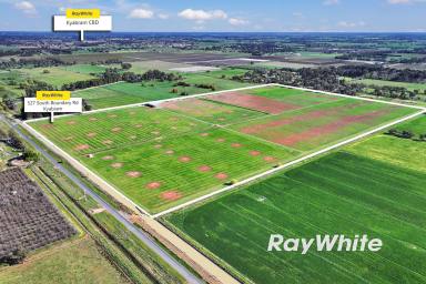 Cropping For Sale - VIC - Kyabram - 3620 - 61 Acres with Excellent Shedding & Irrigation - Kyabram District  (Image 2)