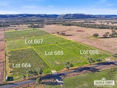 Residential Block For Sale - NSW - Tenterfield - 2372 - The Choice of Three.....  (Image 2)