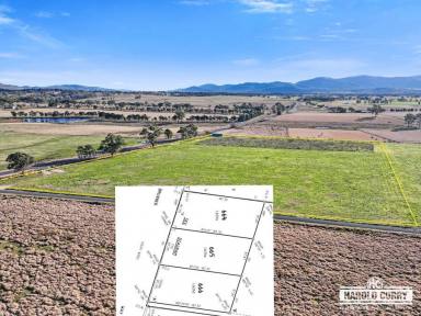 Residential Block For Sale - NSW - Tenterfield - 2372 - The Choice of Three.....  (Image 2)