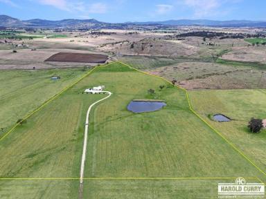 Acreage/Semi-rural For Sale - NSW - Tenterfield - 2372 - Stunning Rural Retreat - New Home on 33 Acres in Bryans Gap.....  (Image 2)