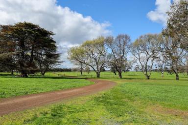 Mixed Farming For Sale - VIC - Bookaar - 3260 - A noted and dynamic district property  (Image 2)