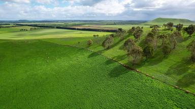 Mixed Farming For Sale - VIC - Bookaar - 3260 - A historic and versatile Camperdown district property  (Image 2)