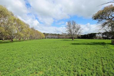 Mixed Farming For Sale - VIC - Bookaar - 3260 - A historic and versatile Camperdown district property  (Image 2)