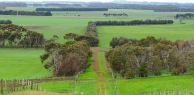 Mixed Farming For Sale - VIC - Bookaar - 3260 - A noted and dynamic district property  (Image 2)
