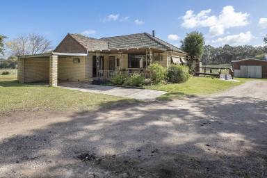 Lifestyle Auction - VIC - Swan Hill - 3585 - Riverfront Lifestyle Property - Tranquil Retreat on 18.58 Acres (Approx.)  (Image 2)
