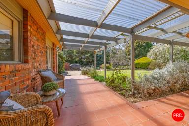 House For Sale - VIC - Kialla - 3631 - Lifestyle Living on ¾ Acre in Kialla Central  (Image 2)