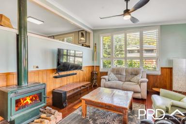 House For Sale - NSW - Kyogle - 2474 - Classic Charmer in Great Spot  (Image 2)