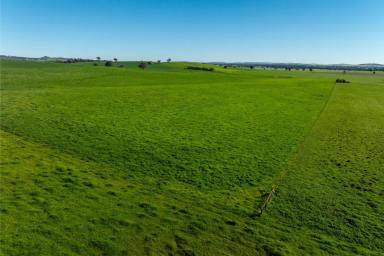 Mixed Farming Auction - NSW - Mangoplah - 2652 - Highly productive add-on or starter  (Image 2)