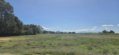 Residential Block For Sale - QLD - Toobanna - 4850 - NEW LAND ESTATE - TOOBANNAVILLE - BLOCKS FROM 2,173 - 2,806 SQ.M. (OVER 1/2 ACRE)!  (Image 2)