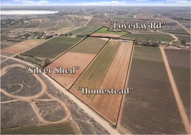 Residential Block For Sale - SA - Cobdogla - 5346 - "SILVER SHED"  (Image 2)