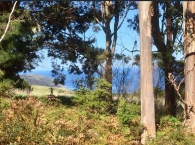 Residential Block For Sale - VIC - Wongarra - 3234 - Coastal Acreage with Breathtaking Southern Ocean Views (Image 2)