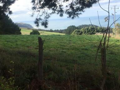 Residential Block For Sale - VIC - Wongarra - 3234 - Coastal Acreage with Breathtaking Southern Ocean Views (Image 2)
