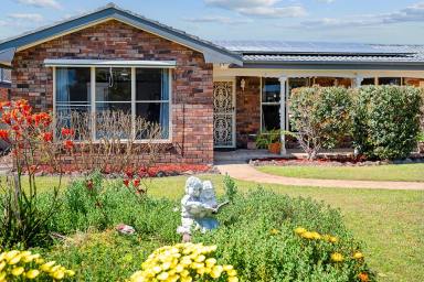 House For Sale - NSW - Raymond Terrace - 2324 - ROOM FOR EVERYONE! SPACIOUS HOME + SELF-CONTAINED GRANNY FLAT  (Image 2)