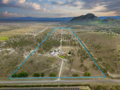 Acreage/Semi-rural For Sale - QLD - Pinnacles - 4815 - Rural Lifestyle with Quality Improvements & Additional Income (Image 2)
