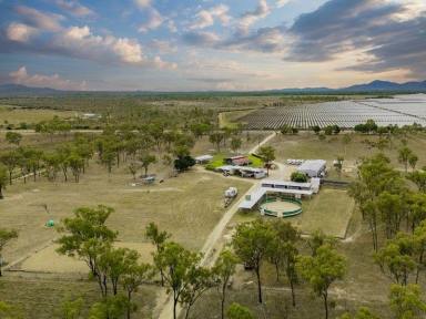 Acreage/Semi-rural For Sale - QLD - Pinnacles - 4815 - Rural Lifestyle with Quality Improvements & Additional Income (Image 2)