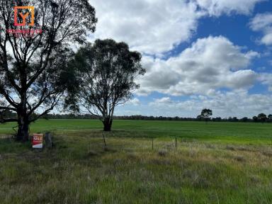 Cropping For Sale - VIC - Kotupna - 3638 - 86.78 hectares - 214 Acres (approx.) - Cropping - Kotupna  (Image 2)