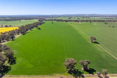 Cropping Auction - NSW - Cowra - 2794 - 113 Acres of prime farming country with a building entitlement!  (Image 2)