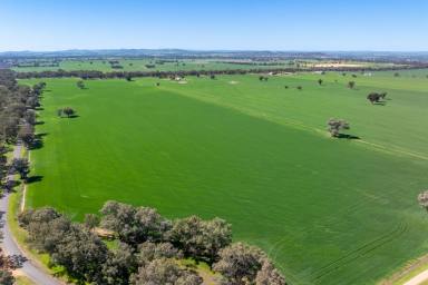 Cropping Auction - NSW - Cowra - 2794 - 113 Acres of prime farming country with a building entitlement!  (Image 2)
