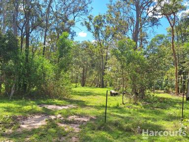 Residential Block For Sale - QLD - Pacific Haven - 4659 - 2.8 Acres on the Cherwell River  (Image 2)