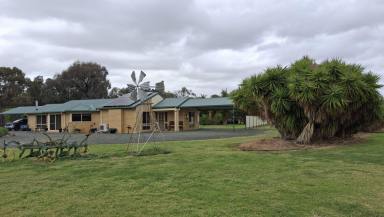 House For Sale - VIC - Echuca - 3564 - Murray River Lifestyle Property with 3/4 BR Home set on 1.5 Acres Just 15 Minutes from Echuca  (Image 2)