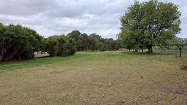 House For Sale - VIC - Echuca - 3564 - Murray River Lifestyle Property with 3/4 BR Home set on 1.5 Acres Just 15 Minutes from Echuca  (Image 2)