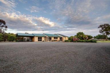 House For Sale - VIC - Wharparilla - 3564 - Murray View Lifestyle Property with 3/4 BR Home set on 1.5 Acres Just 10 Minutes from Echuca  (Image 2)