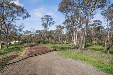 Residential Block For Sale - VIC - Strathfieldsaye - 3551 - Premium 2-Acre Allotment That Offers The Ultimate Convenience  (Image 2)