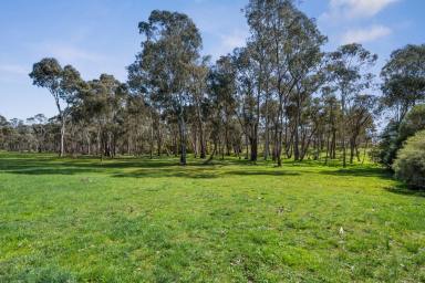 Residential Block For Sale - VIC - Strathfieldsaye - 3551 - Premium 2-Acre Allotment That Offers The Ultimate Convenience  (Image 2)