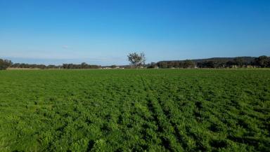Mixed Farming For Sale - NSW - Dunedoo - 2844 - The Original Digilah Station homestead property with three dwellings and operating improvements  (Image 2)