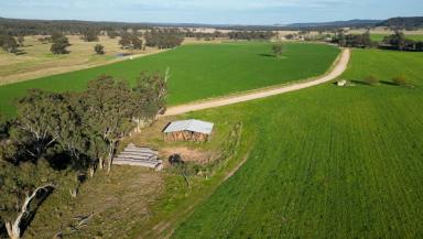 Mixed Farming For Sale - NSW - Dunedoo - 2844 - The Original Digilah Station homestead property with three dwellings and operating improvements  (Image 2)