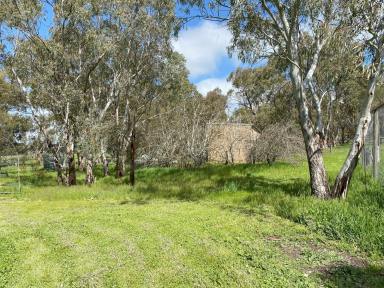 House For Sale - SA - Mount Pleasant - 5235 - 1880's country home on 5857 m2. Privacy, gardens, character, space and tranquility. Country lifestyle beckons!  (Image 2)