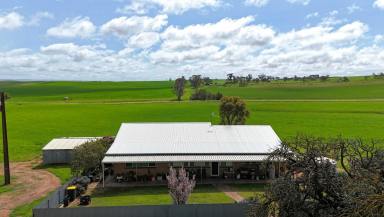 Mixed Farming For Sale - SA - Belalie North - 5491 - 'Luckrafts'  (Image 2)