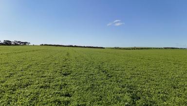 Cropping For Sale - SA - Arthurton - 5572 - 'Masons'  (Image 2)